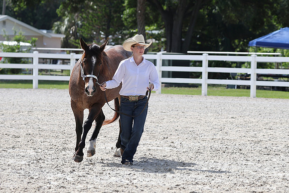 755A5913